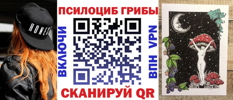 Галлюциногенные грибы Psilocybine cubensis  OMG ссылка  Озёры 